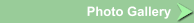 Photo Gallery